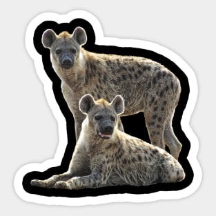 Hyenas on Safari in Kenya / Africa Sticker